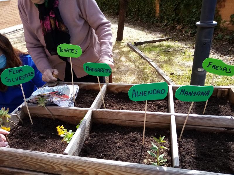 ACTIVIDADES CULTURALES